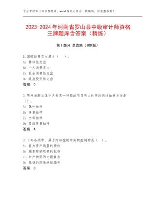 2023-2024年河南省罗山县中级审计师资格王牌题库含答案（精练）
