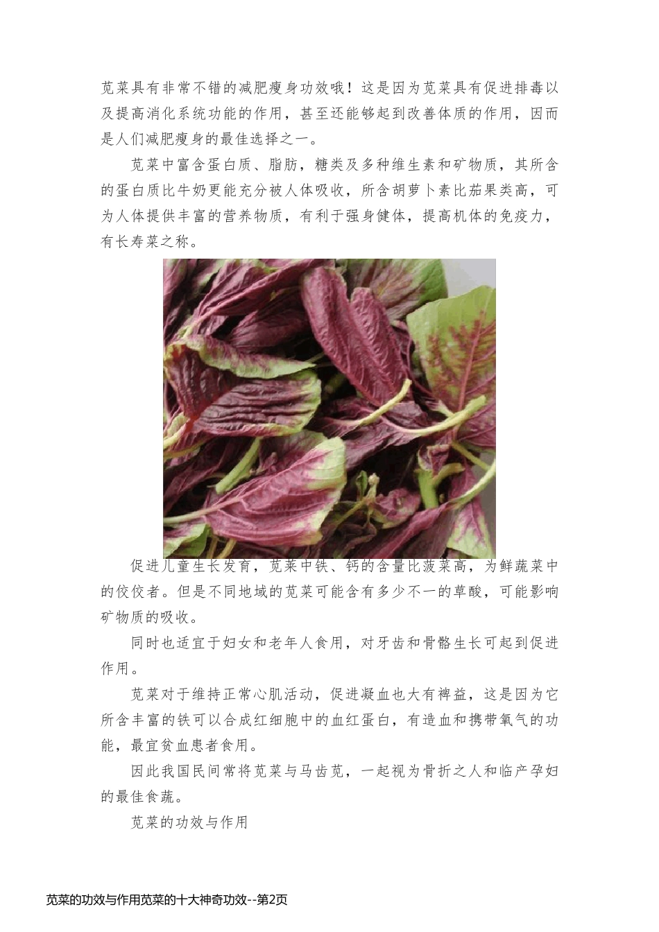 苋菜的功效与作用苋菜的十大神奇功效_第2页