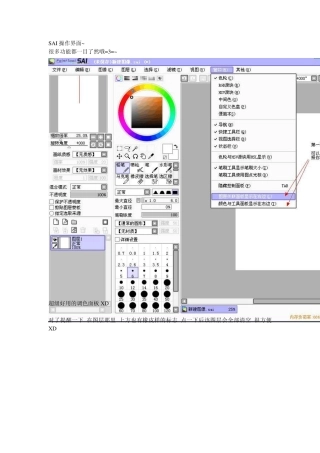 sai教材基础软件应用