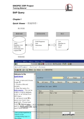 sap+query+(报表定制中国石化)