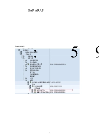 SAPARAP重分类配置及操作OK