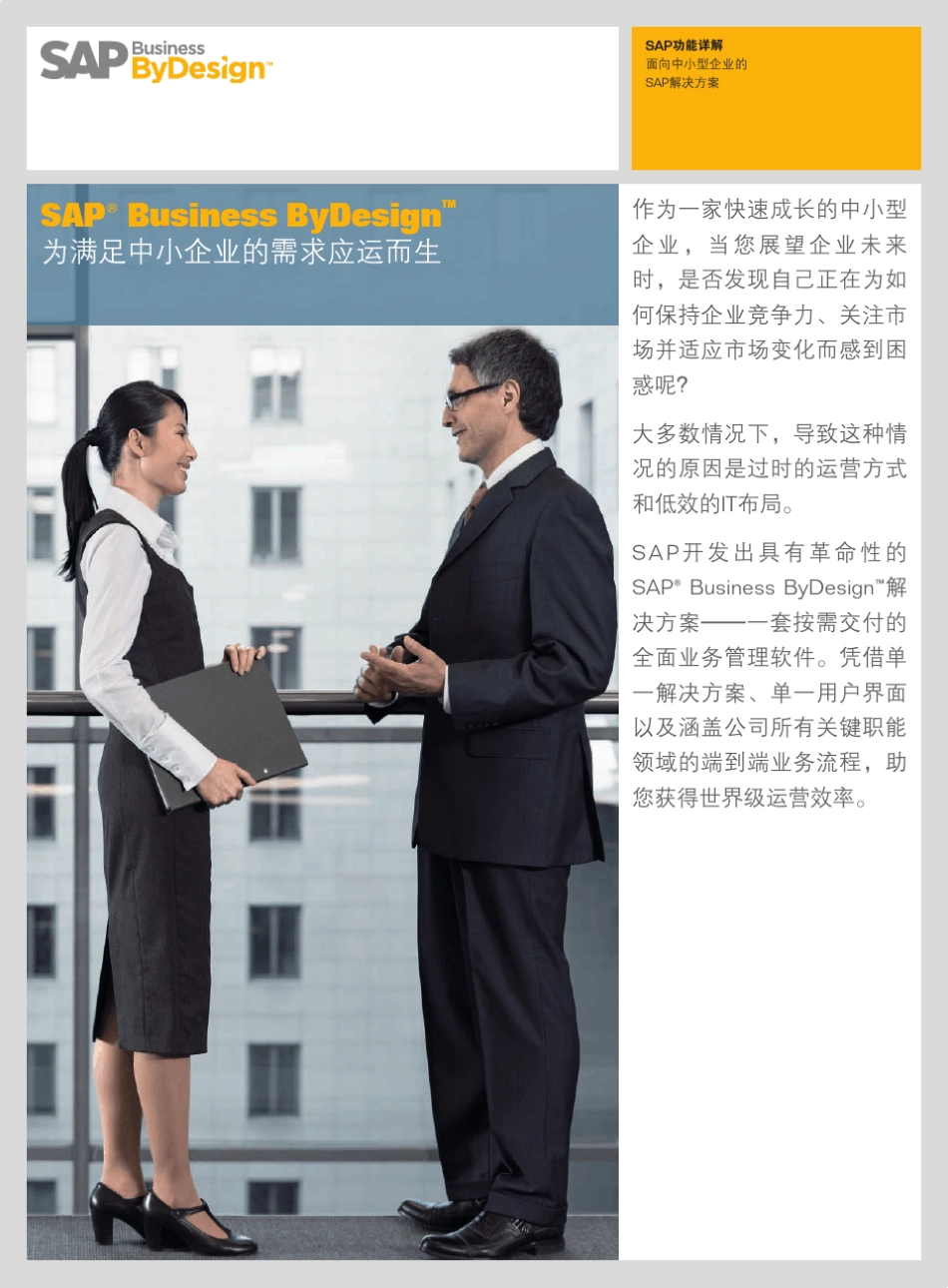 SAPBYD完整产品模块说明_第1页