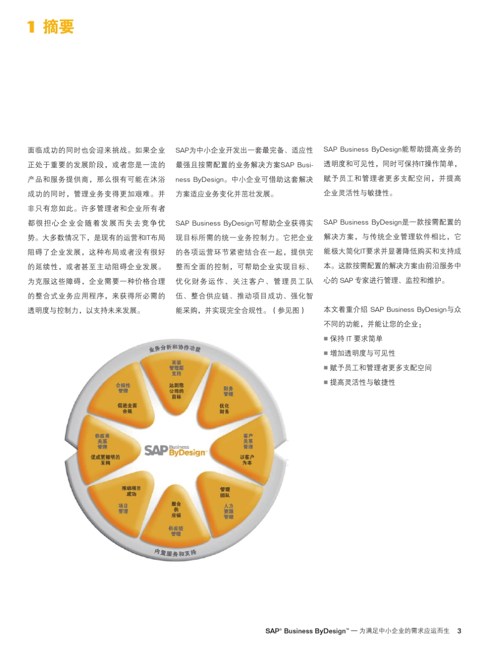 SAPBYD完整产品模块说明_第3页