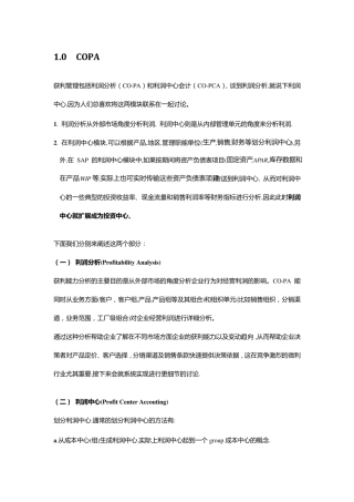 SAPCOPA获利能力分析给力文档