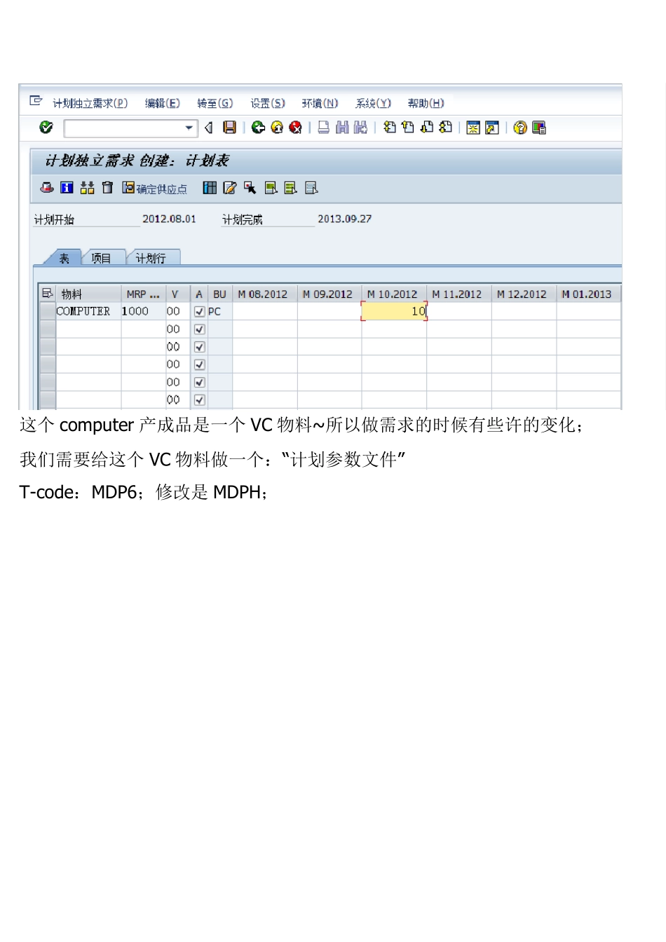 SAPPP可用性检查ByOliviaWang_第2页