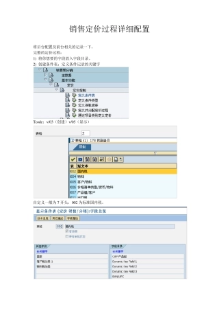 SAPSD销售定价系统配置步骤