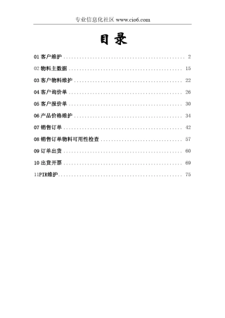 SAPSD用户手册