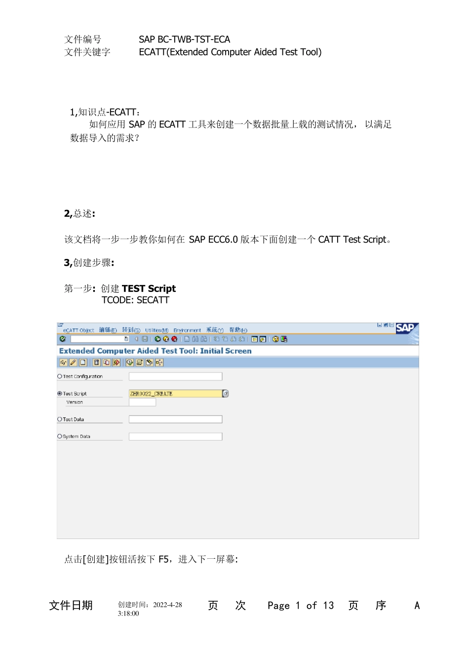 SAPSECATT用法_第1页