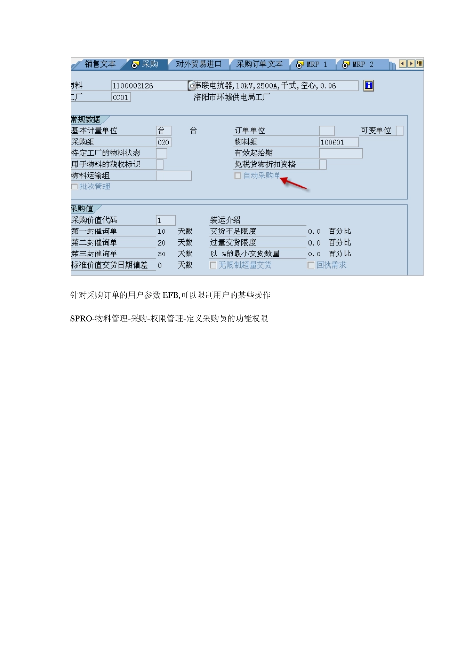 SAP_MM_Configuration_自动创建采购订单货源清单采购信息记录等配置_第3页