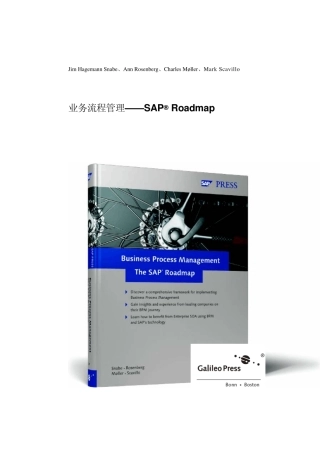 SAP业务流程管理