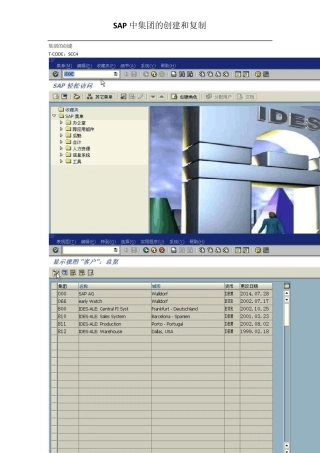 SAP中集团的创建和复制