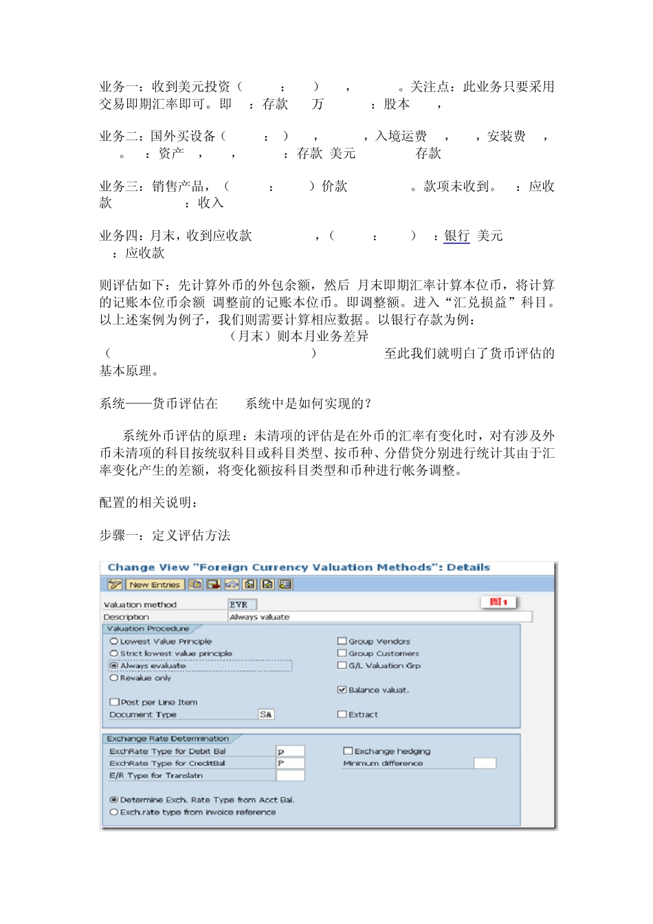 SAP外币评估与外币处理_第2页