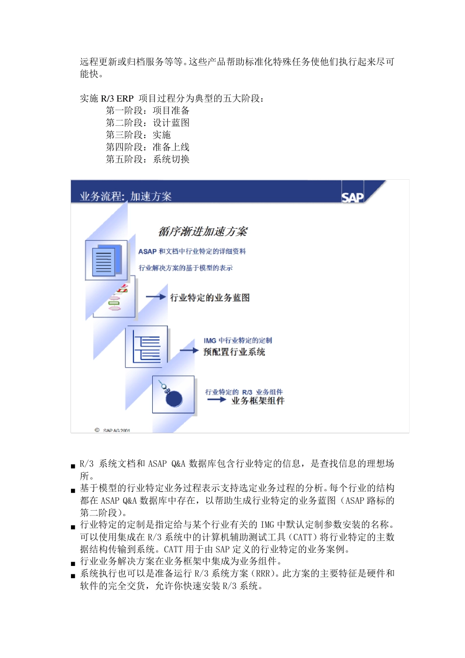 SAP实施方法和流程_第2页