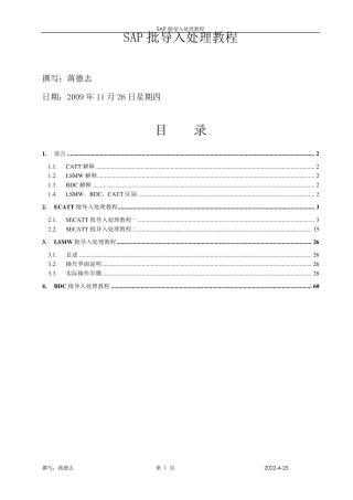 SAP批导入处理教程蒋德志