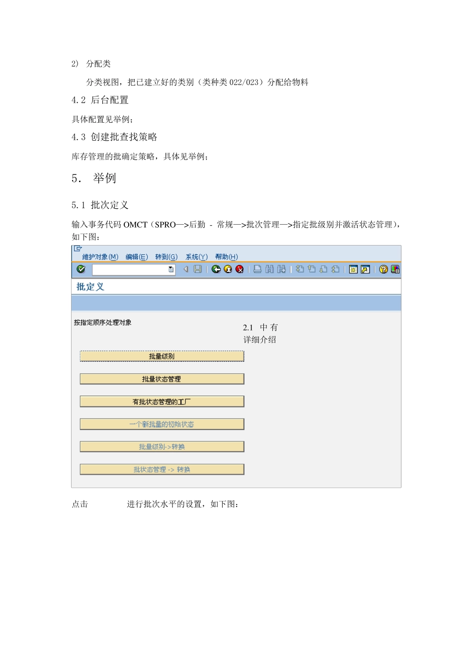 SAP批次管理_20100523_v1.0_第3页