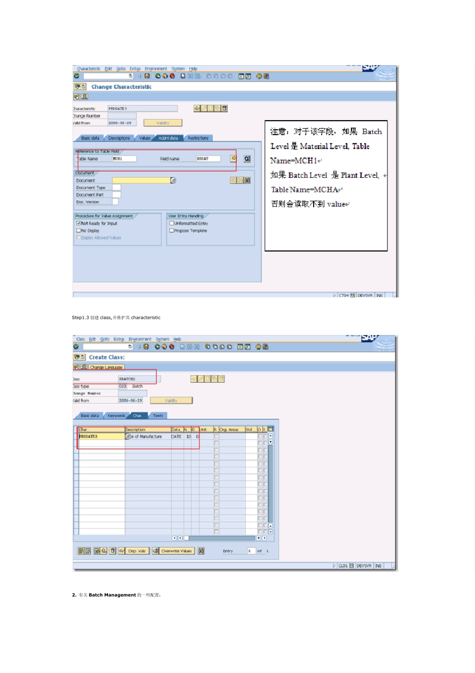 SAP批次管理_第2页