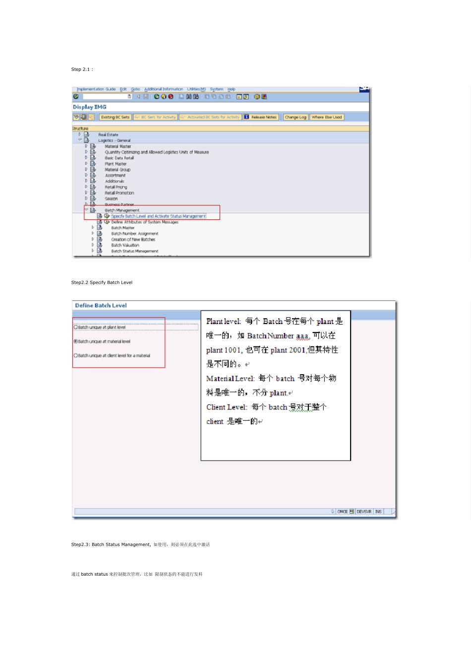 SAP批次管理_第3页