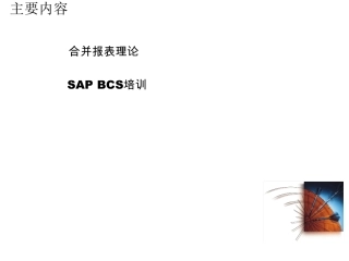 SAP报表合并理论+ECCS实例教程