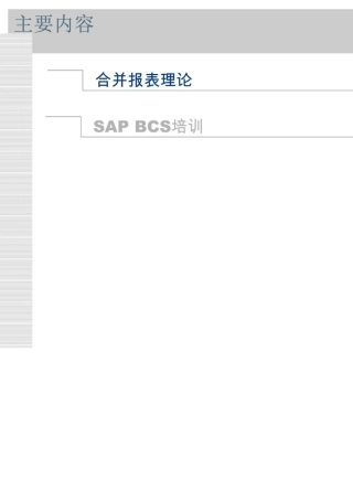 SAP报表合并理论ECCS实例教程