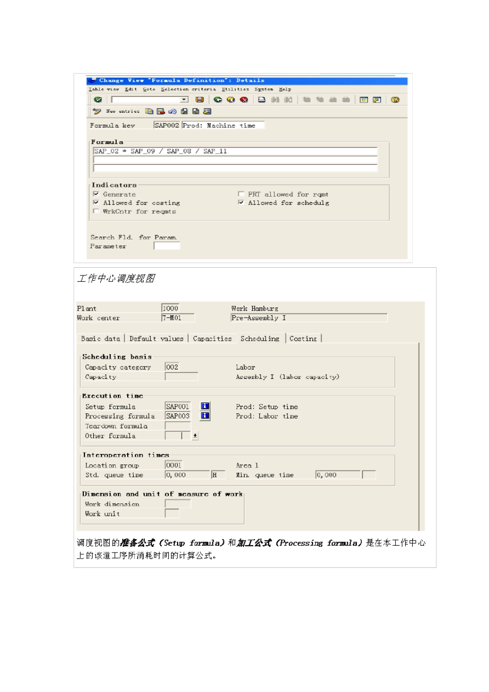 SAP能力需求计划_第2页