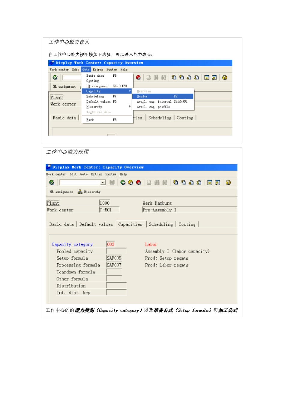 SAP能力需求计划_第3页