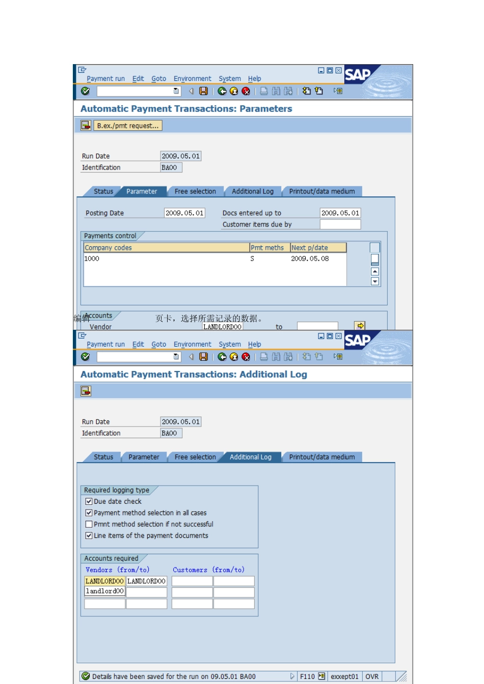 SAP自动付款的实现_第2页