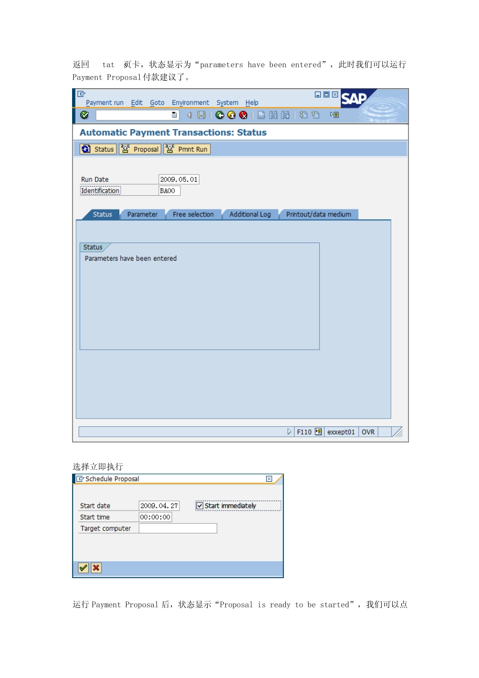 SAP自动付款的实现_第3页