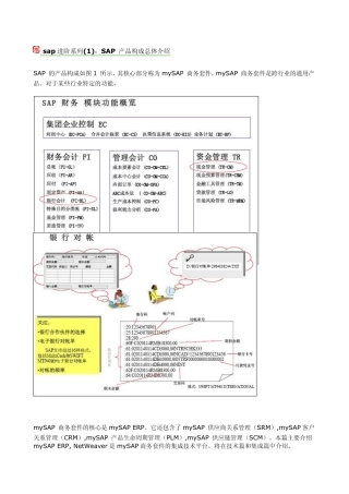 sap进阶系列