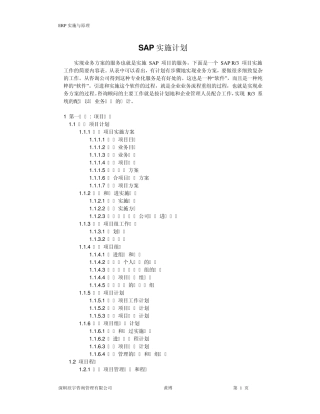 SAP项目实施计划