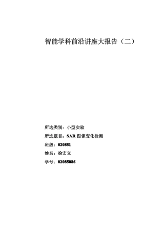 SAR图像变化检测算法