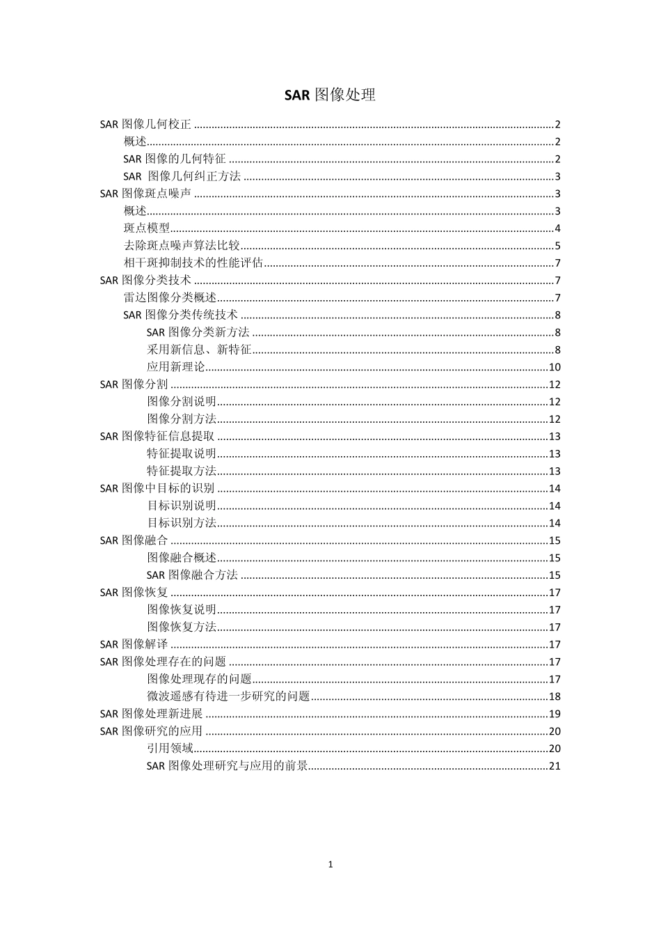 SAR图像处理_第1页