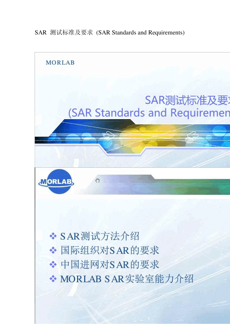 SAR测试方法介绍_第1页