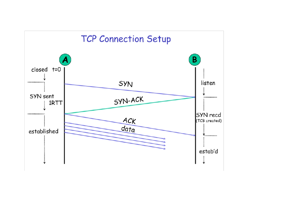 SCTP协议教程_第2页