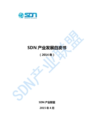 SDN产业发展白皮书