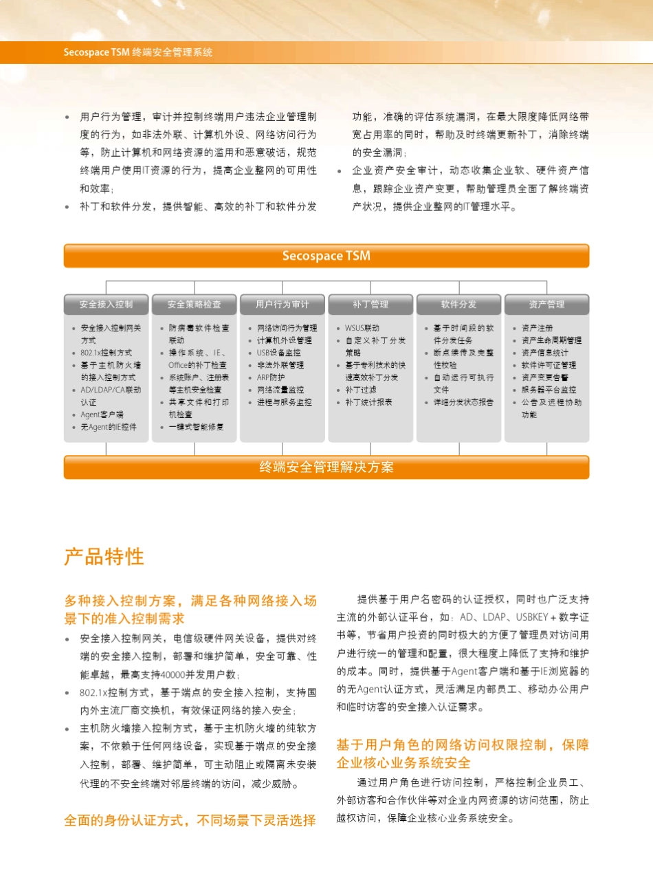 Secospace+TSM+终端安全管理系统_第3页