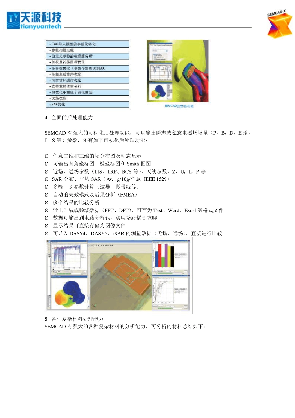 SEMCAD中文简介_第3页