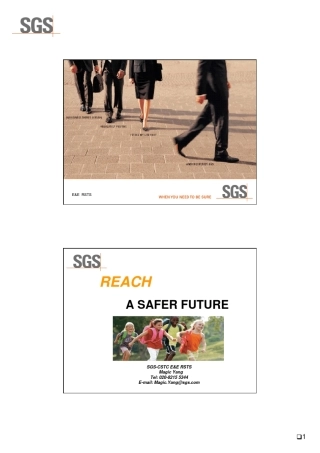 SGSREACH知识简介