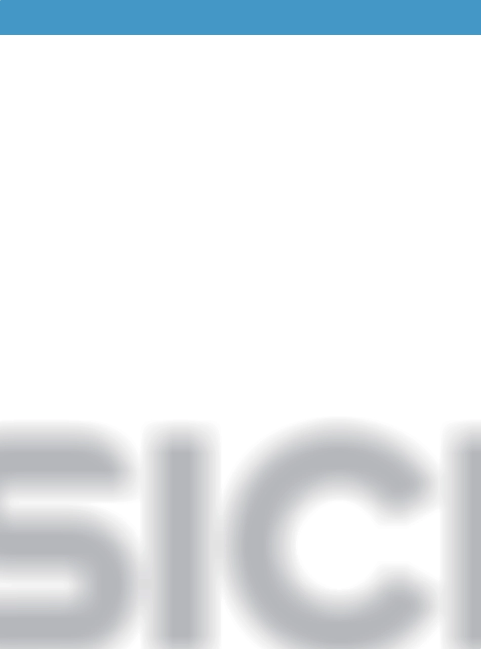 sick光电开关_第2页