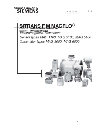 Siemens西门子SITRANSFMMAGFLO电磁流量计