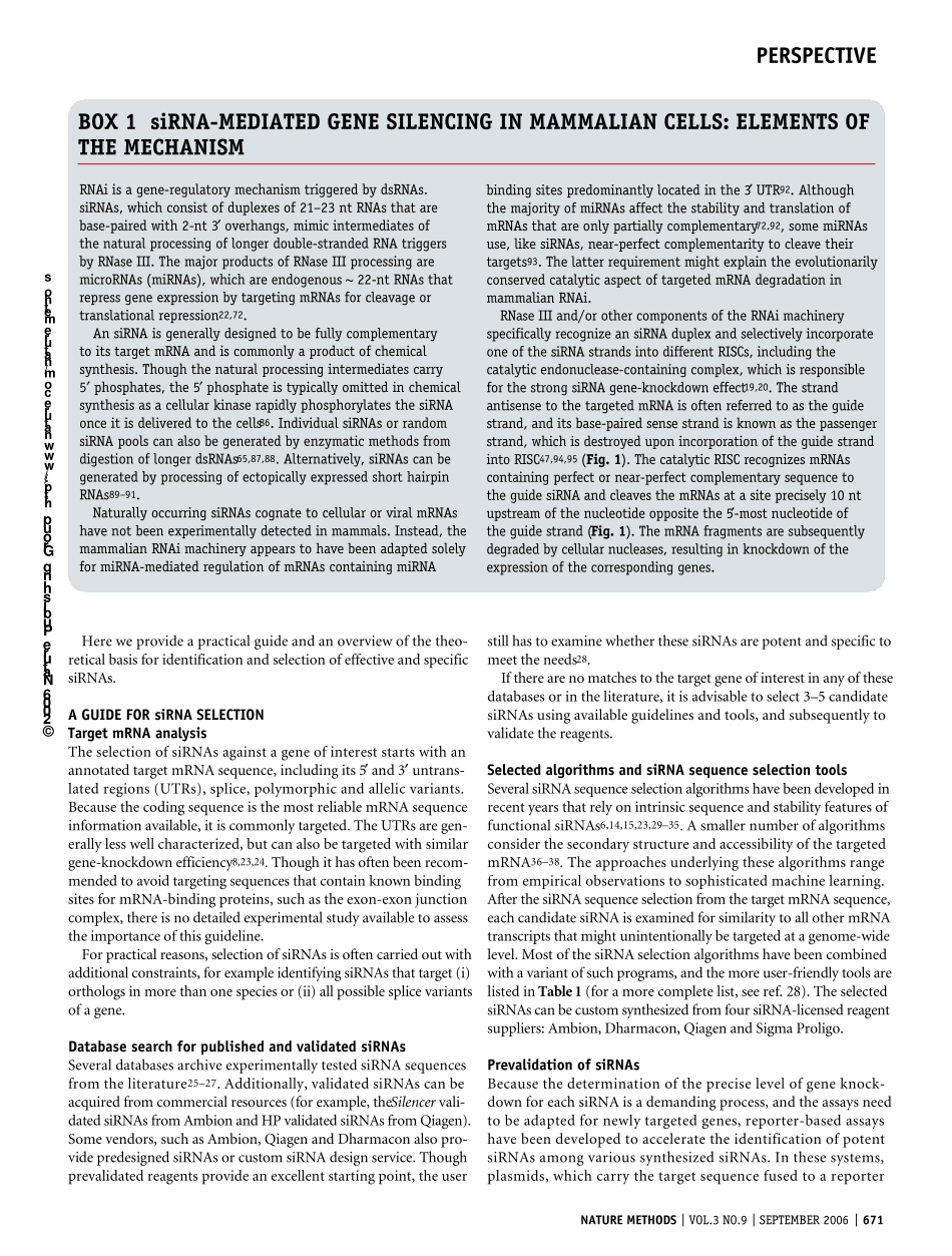 siRNA设计原则_第2页