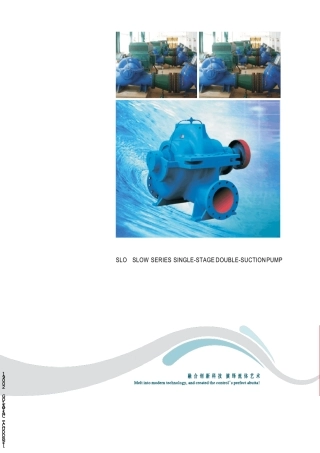 SLOSLOW系列单级双吸中开蜗壳式离心泵