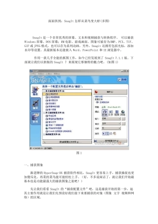 SnagIt使用方法