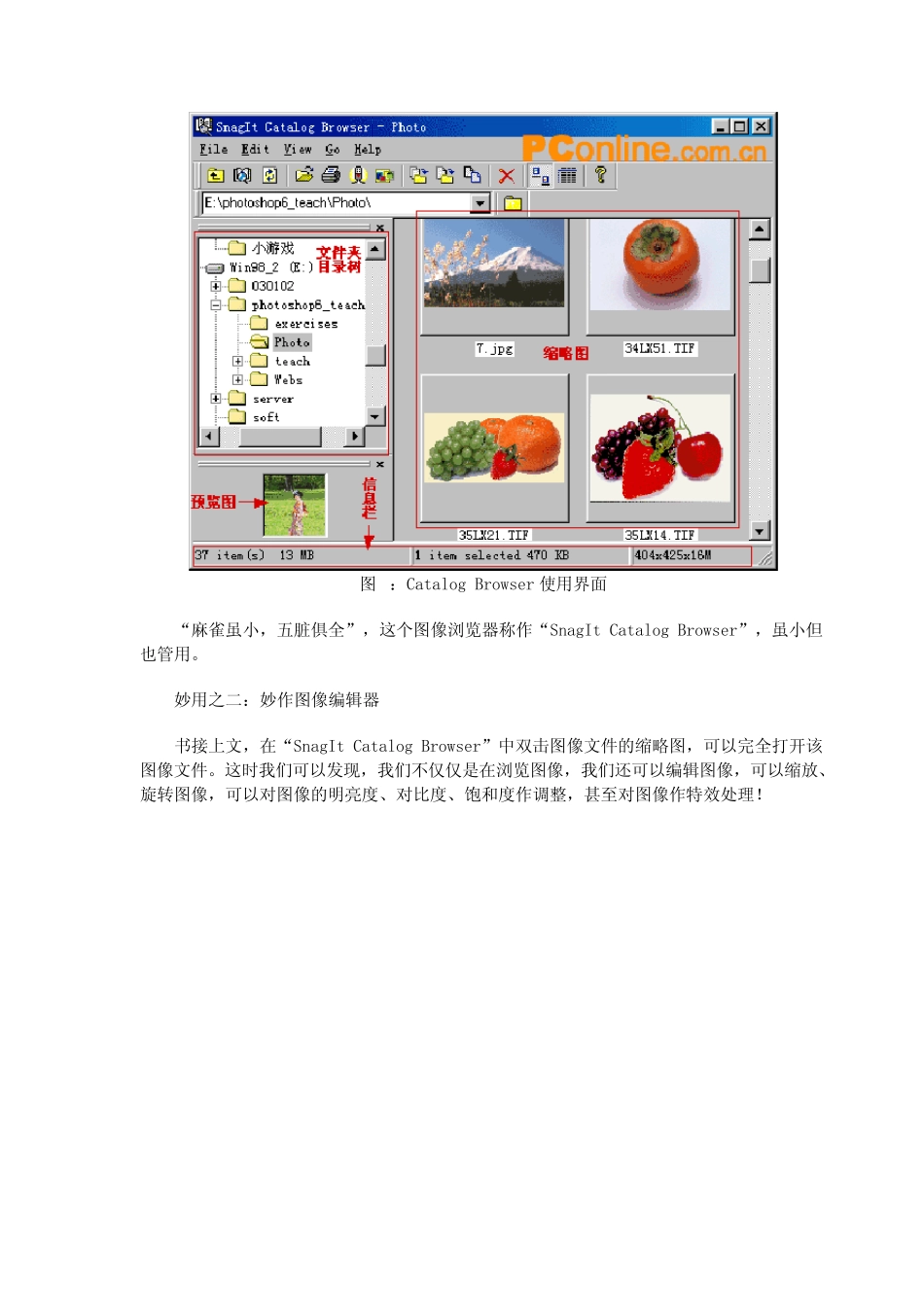 SnagIt用法_第2页
