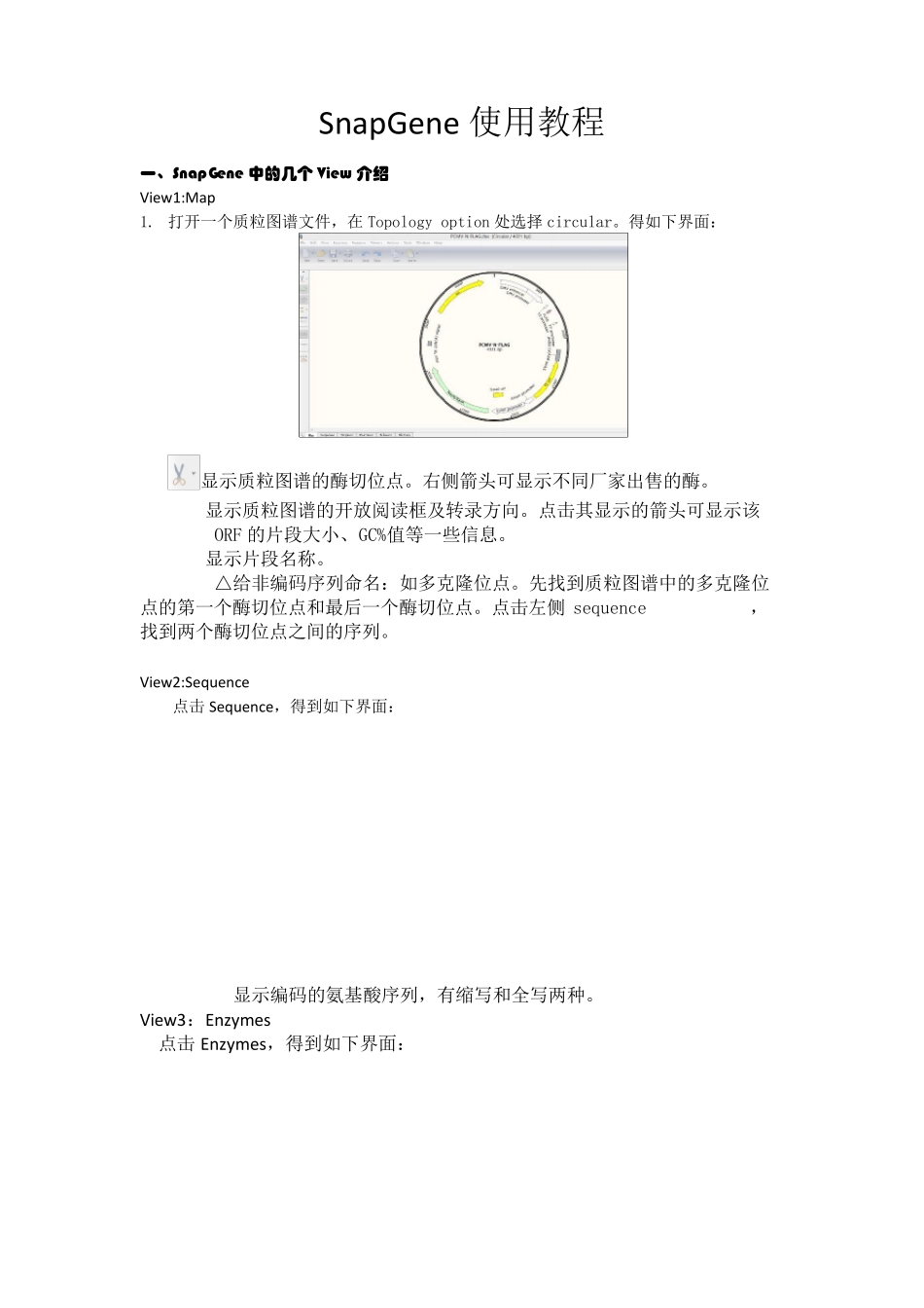 SnapGene中文使用教程_第1页