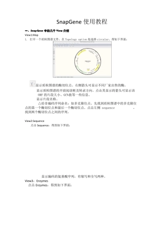 SnapGene中文使用教程