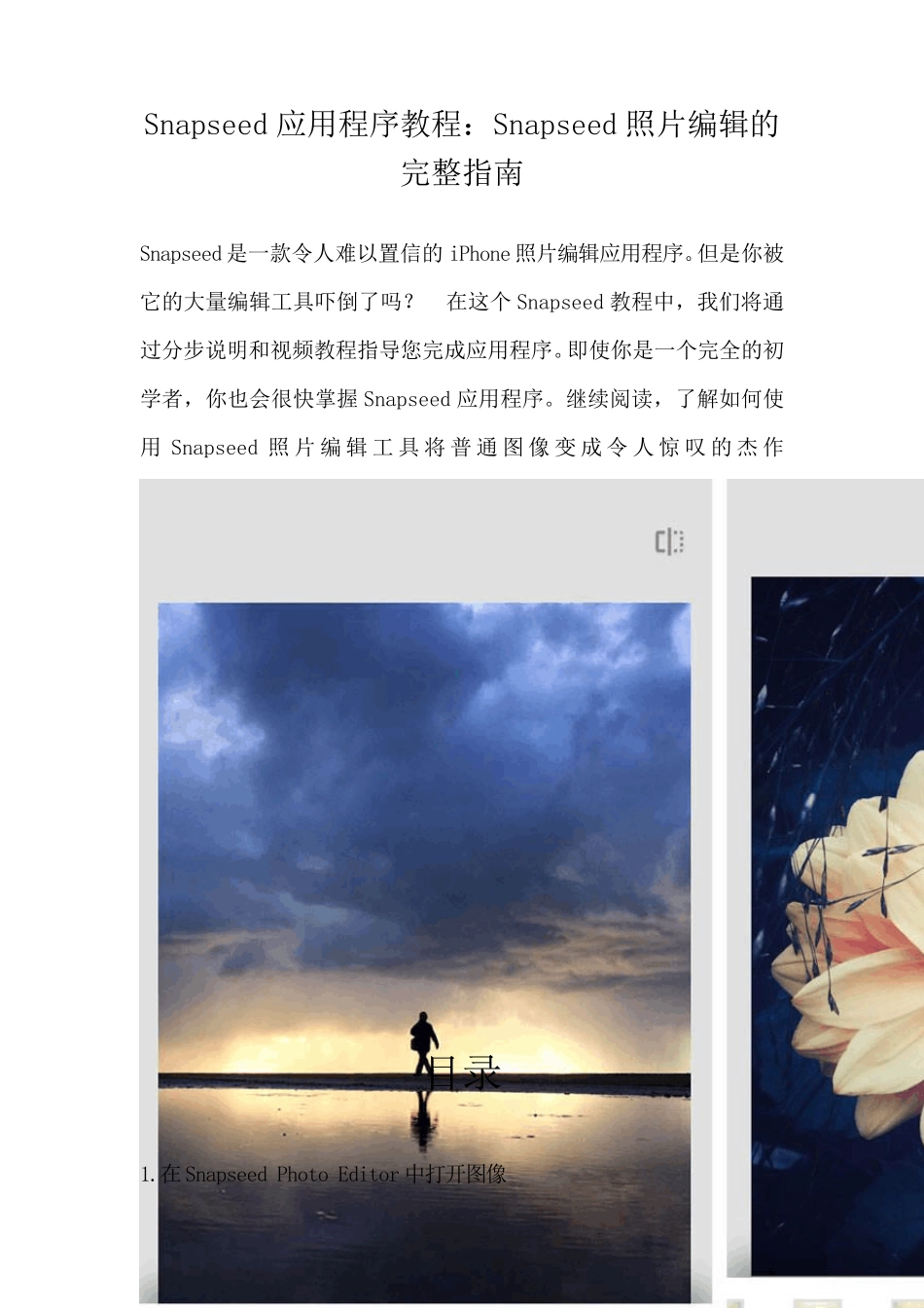 snapseed使用教程_第1页