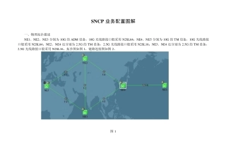 SNCP业务配置图解