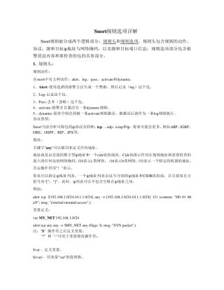 Snort每一项的具体含义