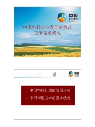 中粮(刘晓雨总经理的演讲稿)新