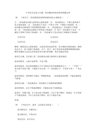 中考化学总复习专题—基本概念和原理典型例题分析